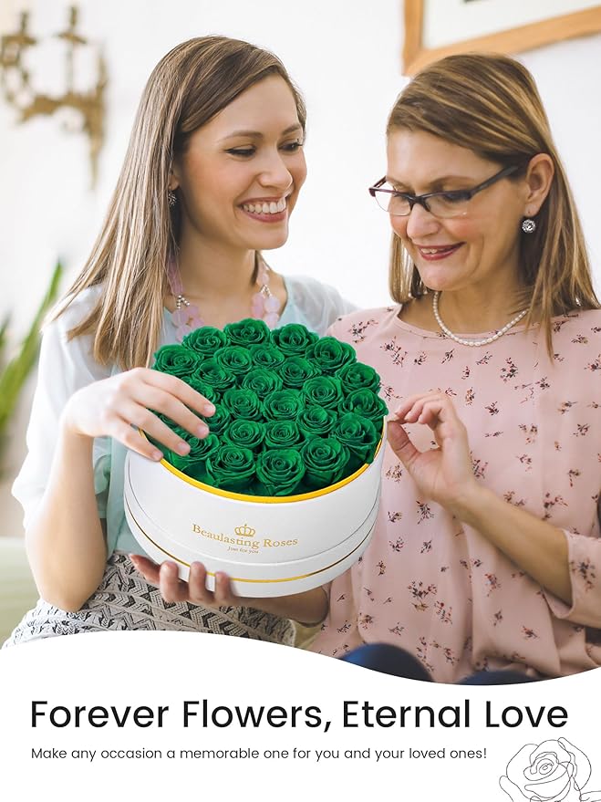 27 Preserved Roses Forever Flowers Real Roses in a Box Mother's Day Birthday Flowers for Her Mom Women Wife Valentine's Day, Green Roses
