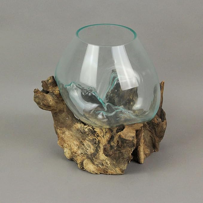 Things2Die4 Large Molten Glass Sculptural Bowl / Plant Terrarium On Natural Driftwood Base, Brown, 10 Inch | Clear Hand Formed Vessel, Organic Wood Contours, For Succulents, Air Plants, Herbs, Fairy Gardens