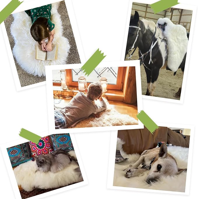 Fluffy Patchwork Sheepskin Rug with Little Patches, Fuzzy Shaggy Fur Genuine Wool Area Carpet for Bedroom Living Room Floor, Pray Pup Mat, Chair Sofa Seat Cover, Cream Brown, 2' x 3'