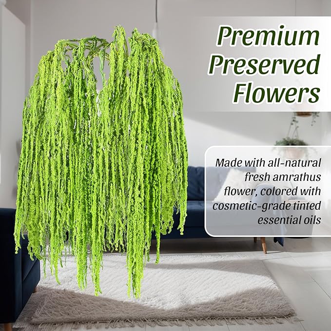 Suncalla 12 Pcs Green Spring Natural Dried Amaranthus Hanging Flowers Amaranthus Artificial Flowers for Wedding Arch Bouquet Floral Garland Wall Home Decoration (23 Inch)