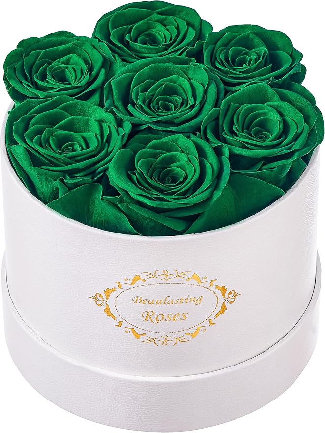 Beaulasting Long Lasting Preserved Roses in a Box Last a Year Forever Flowers for Her Mom Wife Anniversary Birthday (Round White Box, Blackish Green)