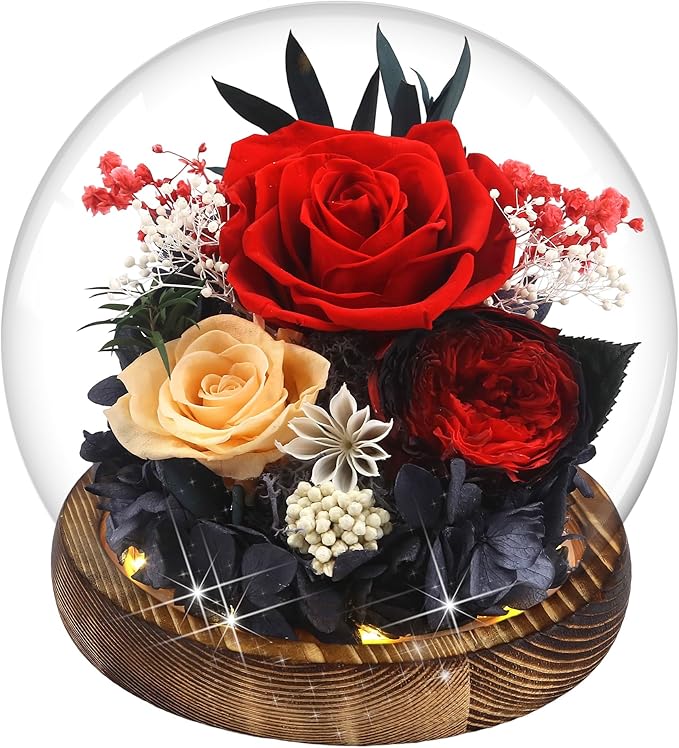 MOKOQI Birthday Gifts for Women Preserved Red Real Rose Flowers in Glass Dome, Forever Rose Valentines Day Gift for Her Mom on Christmas Birthday Flowers for Delivery Prime