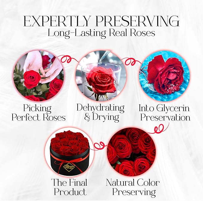 GLAMOUR BOUTIQUE Flowers Forever Gift Box, 12 Real Preserved Roses in Velvet Black Box, Floral Gift for Her, Mom or Wife for Birthday, Mother’s Day, Anniversary or Graduation, Red (Color-Treated)