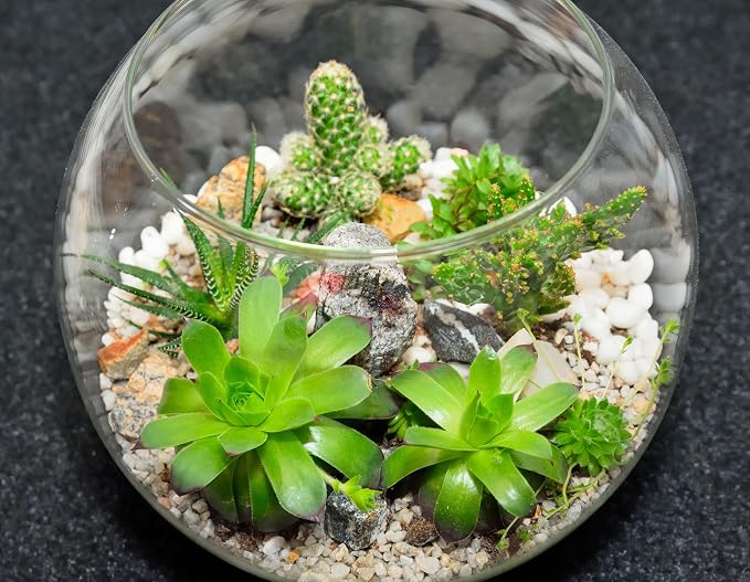Sawysine 12 Pcs Bubble Bowl Vase Centerpiece Round Glass Flower Vase Bulk Clear Terrarium Fish Bowl for Wedding Event Goldfish Planter Floral Centerpiece Office Home Decor (7.8''w X 6.3''h)