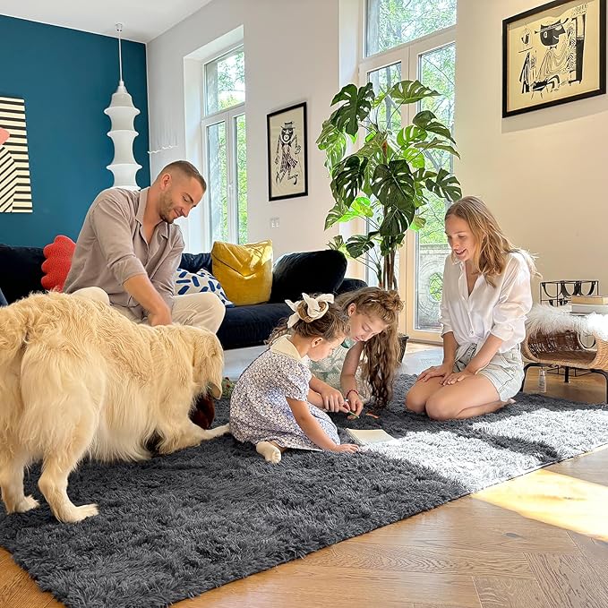 OLANLY 4x8 Area Rugs for Living Room Bedroom, Machine Washable Soft Fluffy Shaggy Bedside Rug, Indoor Floor Carpet for Kids Girls and Boys, Dorms, Nursery Rooms, Home Decor Aesthetic, Grey