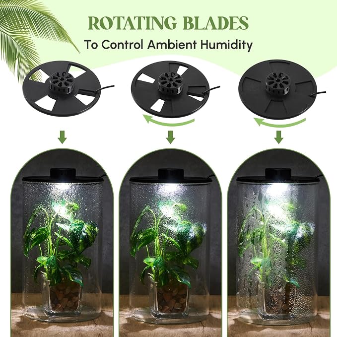 Maxdot Glass Plant Terrarium Kit with LED Grow Light, Desk Terrarium for Venus Fly Trap, Succulents, Moss & Miniature Garden, Borosilicate Glass Desktop Planter for Home Office(9.8 x 5.9 Inch)