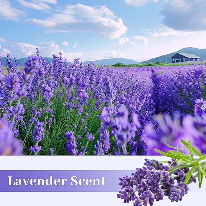 SCENTORINI Lavender Scented Drawer Liners for Dresser, 14.3 x 19.6 Inch 6 Sheets, Non-Adhesive Drawer Shelf Liners for Bedroom Dresser, Kitchen Cabinets, Home Shelf Closet