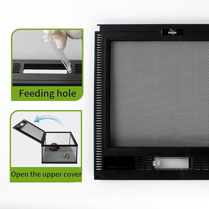Reptile Glass Terrarium Tank 12 * 12 * 8" Full View with Top Ventilation, Amphibians Habitat Enclosure Cage for Frog,Spiders,Dubia Cockroach,Praying Mantis,Cricket,Tarantula,Hermit Crab