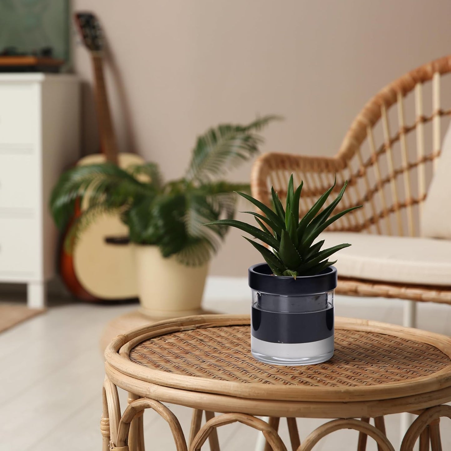 Phoenix Vine 4 Inch Self Watering Planter Pot, Black Terracotta Clay Pot with Glass Reservoir for Indoor Plants, Herbs, Flowers, Set of 2, 52-C-E-2