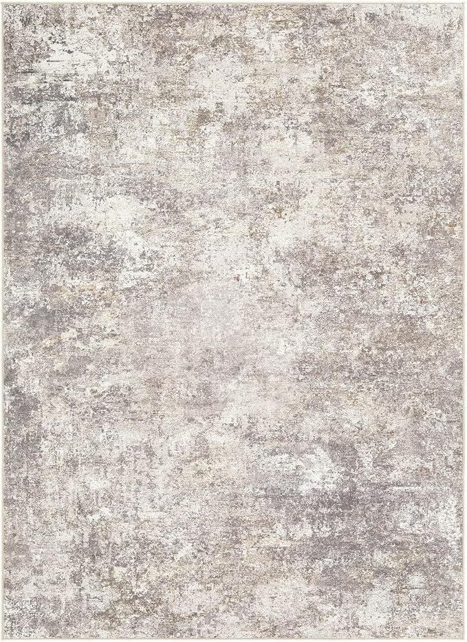 DMOYEST Area Rug Living Room Rugs - 12x18 Washable Large Soft Indoor Neutral Modern Abstract Low Pile Rug Carpet for Bedroom Dining Room Farmhouse Home Office - Brown