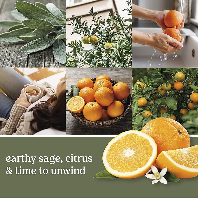 Yankee Candle Sage & Citrus Wax Melts,for Candle Making and All Wax Warmers,6 Count (Pack of 36)