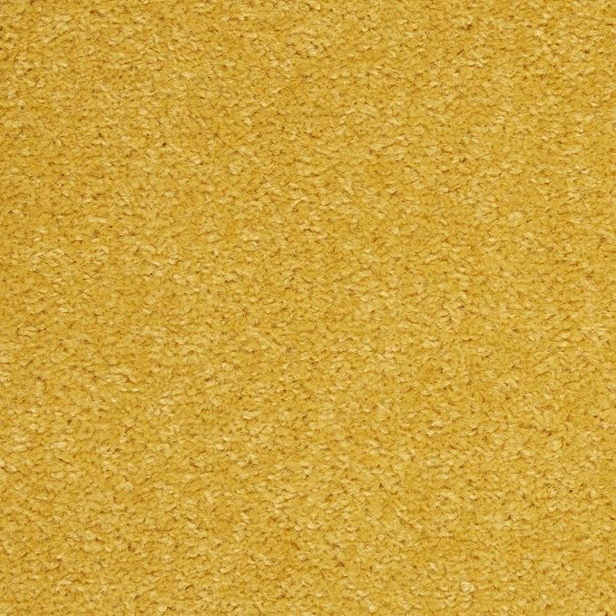 Nourison Home Nourison Essentials Yellow 5' x Square Area Rug - Easy Clean, Non Shedding, Bed Room, Living Room, Dining Room, Kitchen (5' x Square)