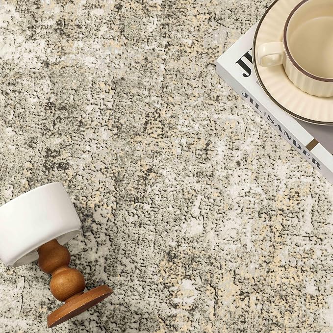 PureCozy Machine Washable Area Rug 5x7 Beige Gray Large Living Room Indoor Accent Rug Neutral Modern Abstract Low Pile Carpet Non Slip Distressed Throw Rug Bedroom Office Dining Room Kitchen Laundry