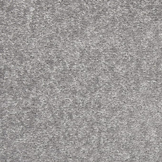 Nourison Home Nourison Essentials Silver Grey 8' x 11' Area Rug - Easy Clean, Non Shedding, Bed Room, Living Room, Dining Room, Kitchen (8' x 11')