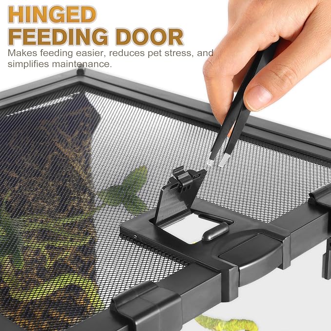 Mini Reptile Glass Terrarium Vivarium 8'' x 8'' x 6'', Full View Tank for Small Arthropod Pets Such as Pumpkin Patch Tarantulas, with Feeding Slot & Box Lock Buckle