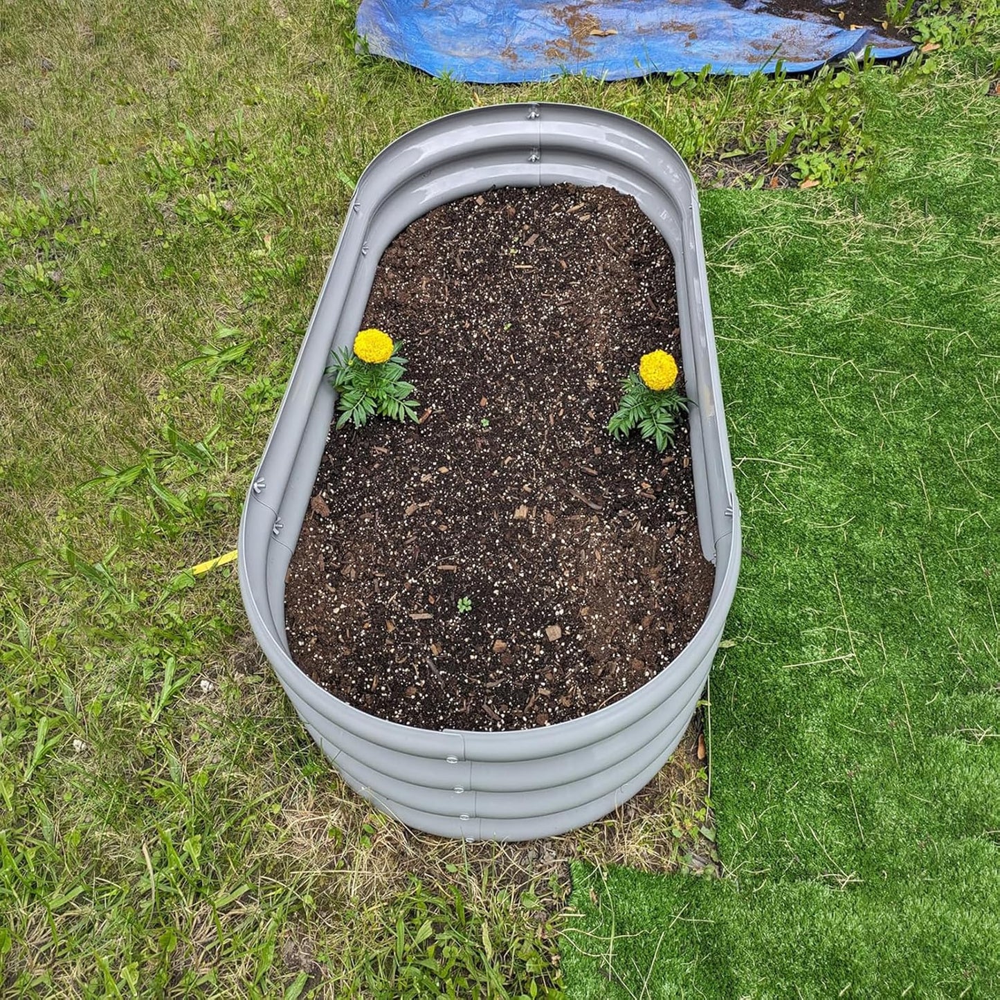 2 Pack 4x2x1FT Galvanized Raised Garden Bed Kit Oval Metal Ground Planter Box Outdoor Bottomless Planter Raised Beds for Vegetables Flowers Herbs Fruits, Green