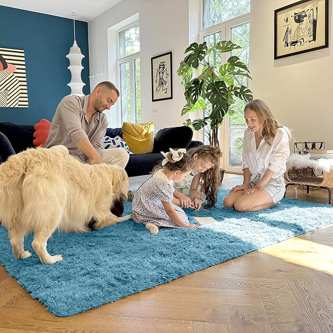 OLANLY 5x8 Machine Washable Large Area Rugs for Living Room, Bedroom, Soft Fluffy Shaggy Bedside Rug, Indoor Floor Carpet for Kids Girls and Boys, Dorms, Nursery, Home Decor Aesthetic, Slate Blue