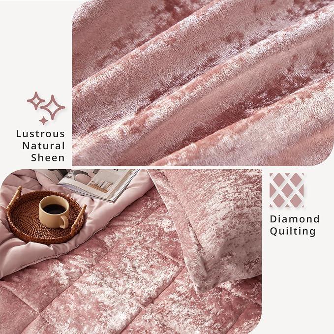 Intelligent Design Twin Velvet Duvet Cover Set with Blush Finish ID12-1782