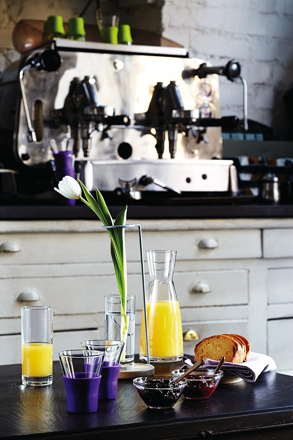 Bormioli Rocco Ypsilon Carafe, Set of 12 , 9.5 Oz.