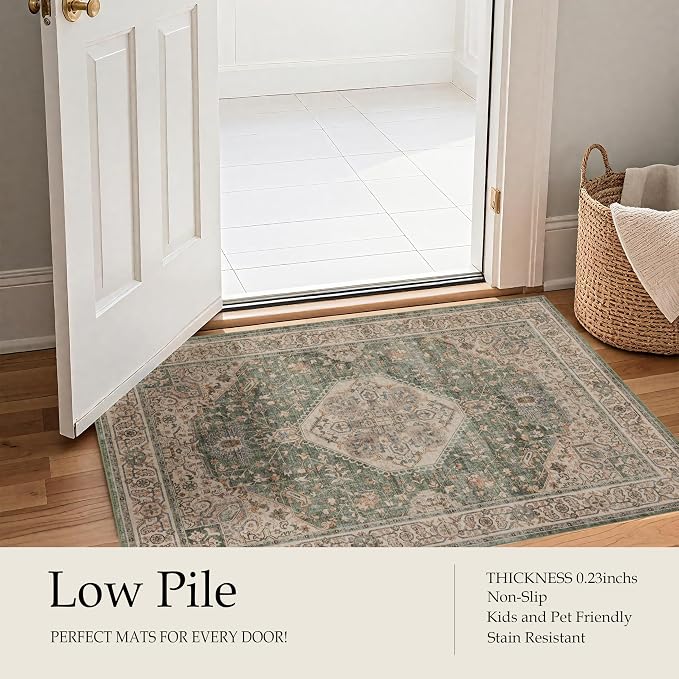 Ruaruarug Washable Area Rug 8x10 for Living Room, Bedroom, Ultra Soft Non Slip Stain & Fade Resistant, Pet & Kids Friendly, Suitable for High Traffic Areas Easy to Clean for Office Kitchen, Celadon