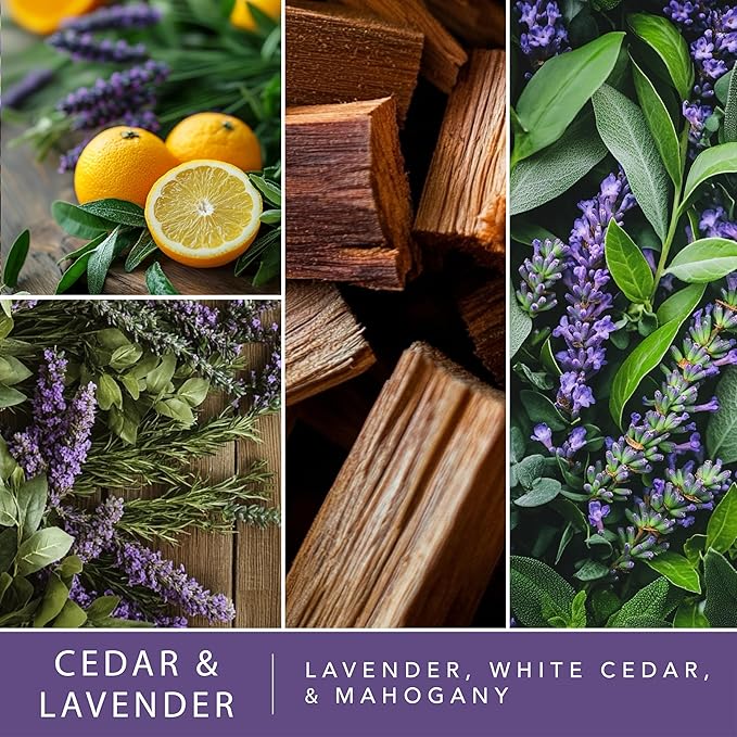 ScentSationals Wax Melts Down to Earth 4pk – Long Lasting Wax Cubes with Strong Scent for Warmers, Includes Cedar & Lavender, Honeysuckle Nectar, Berry Blossom Breeze & Ripe Cherries – 10oz (24-Cubes)