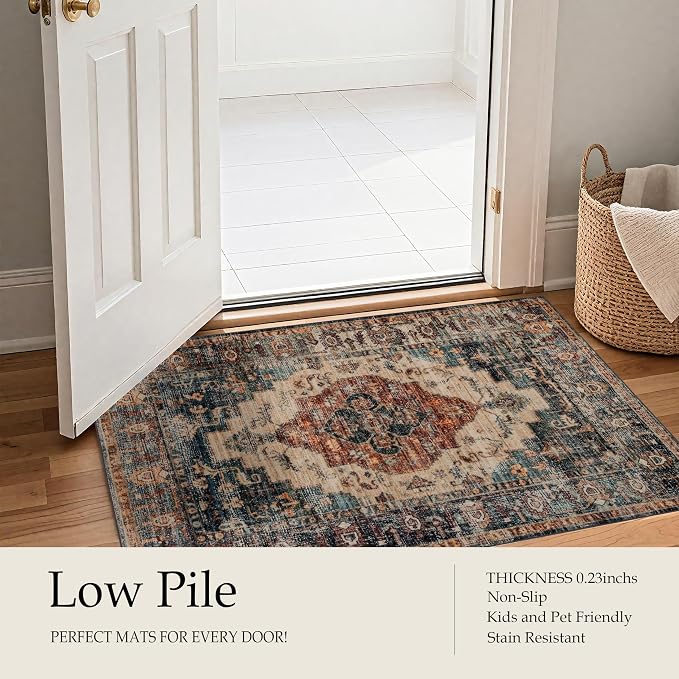 Ruaruarug Washable Area Rug 8x10 for Living Room, Bedroom, Ultra Soft Non Slip Stain & Fade Resistant, Pet & Kids Friendly, Suitable for High Traffic Areas Easy to Clean for Office Kitchen, Brown