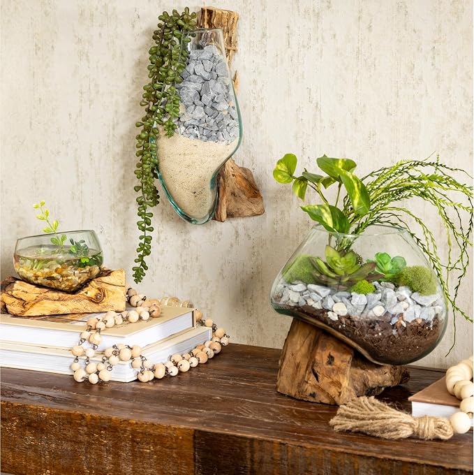 Cape Craftsmen 10" Hand-Blown Blue Tinted Bubble Glass On Natural Teak Driftwood Terrarium Kit | Home Décor Indoor Planter with Stand | Pot for Succulent and Plants