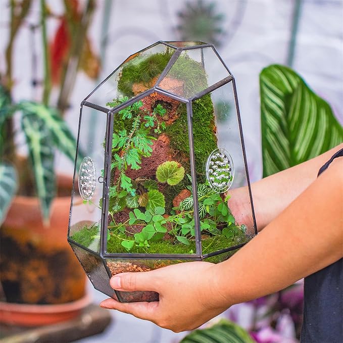 NCYP Closed Geometric Glass Enclosure with Front Opening Door & 2 Vent Holes for Insects, Snail, Moss, Fern - 7.9"x6.9"x9.8" Black Irregular Terrarium - Home Garden Tabletop Decor (No Plants)