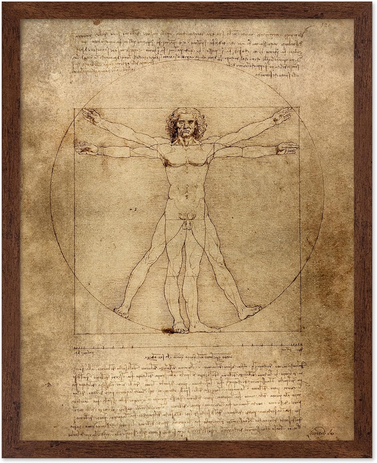 Poster Master Classic Leonardo Da Vinci Poster - Vintage Renaissance Print - Gift for Artist, Friend - Vitruvian Man, Proportion, Symmetry, Human Body - Wall Decor for Office, 11x14 Brown Framed