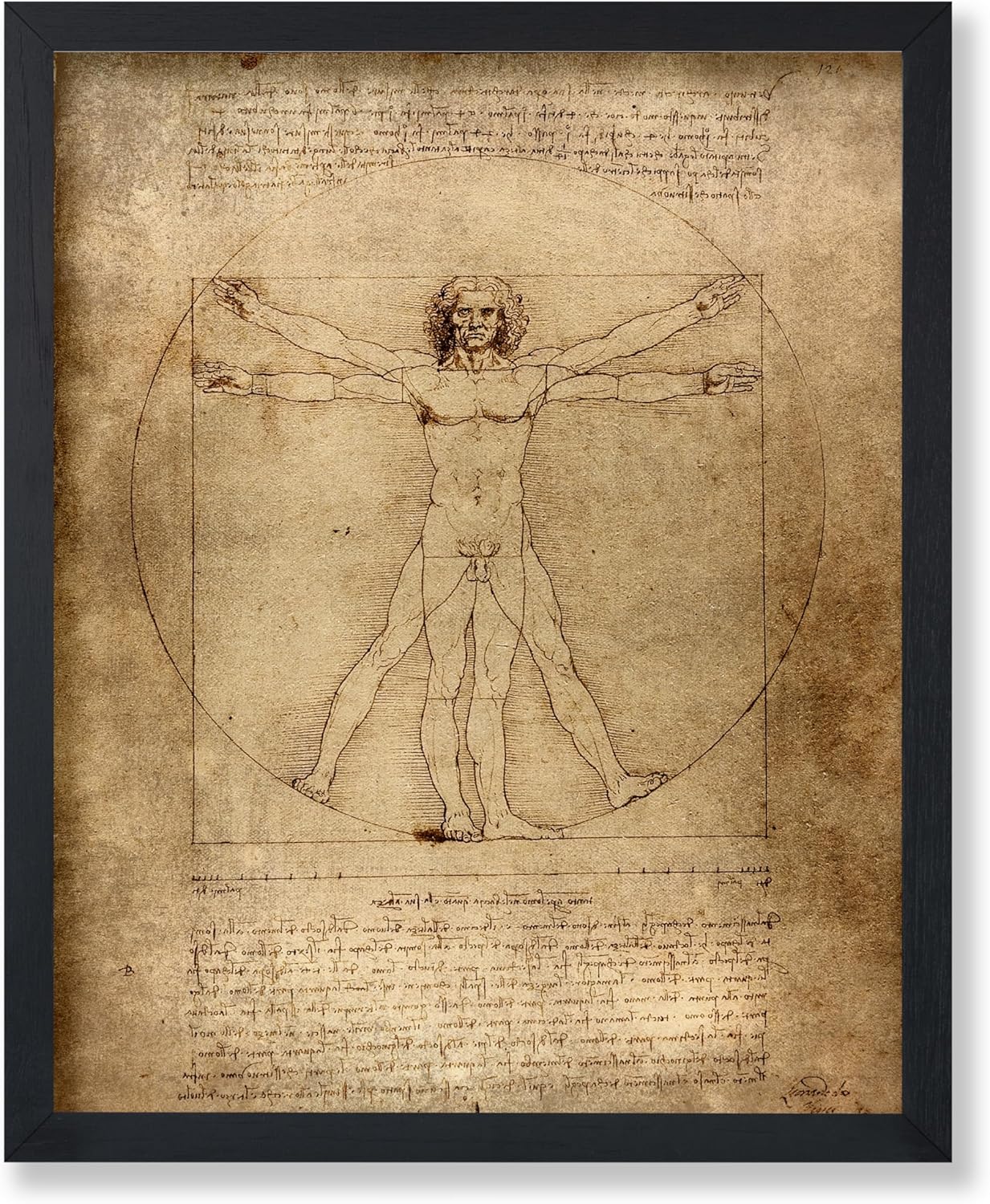 Poster Master Classic Leonardo Da Vinci Poster - Vintage Renaissance Print - Gift for Artist, Friend - Vitruvian Man, Proportion, Symmetry, Human Body - Wall Decor for Office, 18x24 Unframed Wall Art
