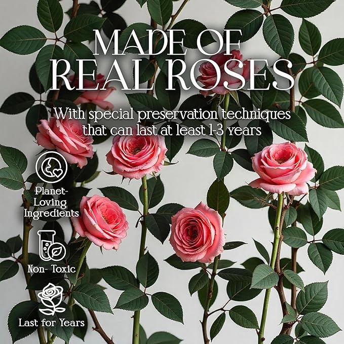 GLAMOUR BOUTIQUE Preserved Roses in a Box - Gifts for Her, Wife & Mom, Rose Flowers Forever Decor for Birthday Gift, Get Well Flower Bouquet Cased in White Box with Cover - Pink - 16 (Color-Treated)