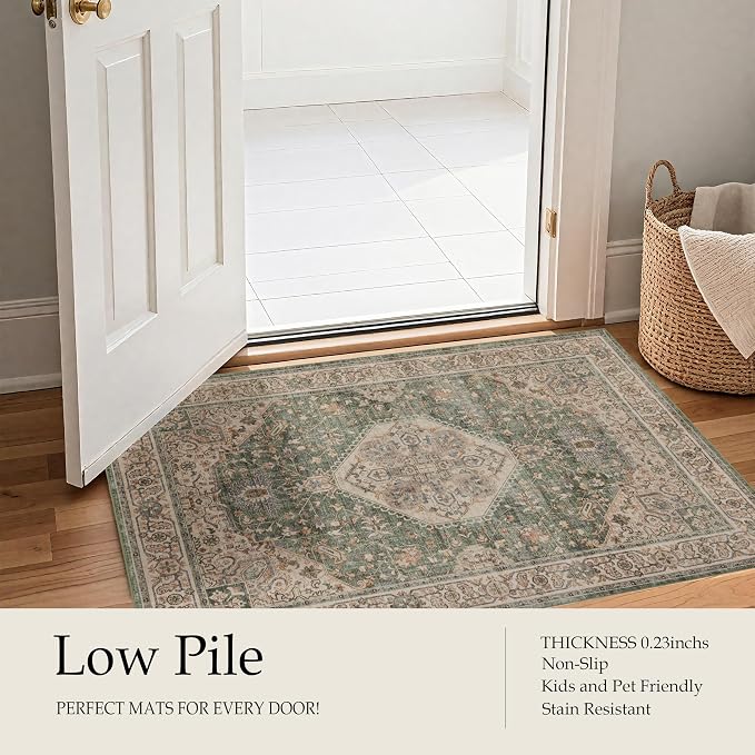 Ruaruarug Washable Area Rug 5x7 for Living Room, Bedroom, Ultra Soft Non Slip Stain & Fade Resistant, Pet & Kids Friendly, Suitable for High Traffic Areas Easy to Clean for Office Kitchen, Celadon