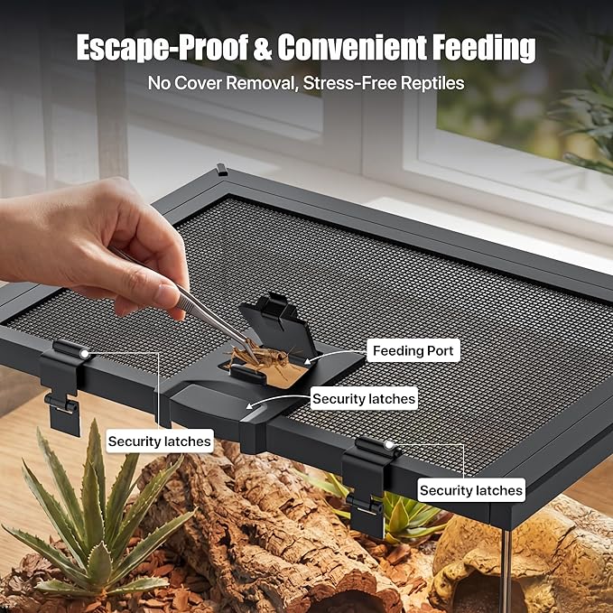 2.5 Gallon Fully Assembled Glass Reptile Enclosure, 12" x 8" x 6" | Small Reptile Terrarium Tank for Tiny Terrestrial Reptiles, Amphibians & Invertebrates