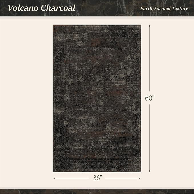 Black 3x5 Washable Entryway Rug, Non Slip Indoor Kitchen Rug, Dark Charcoal Farmhouse Low Pile Area Rug for Mudroom, Bedroom, Bathroom & Laundry Room