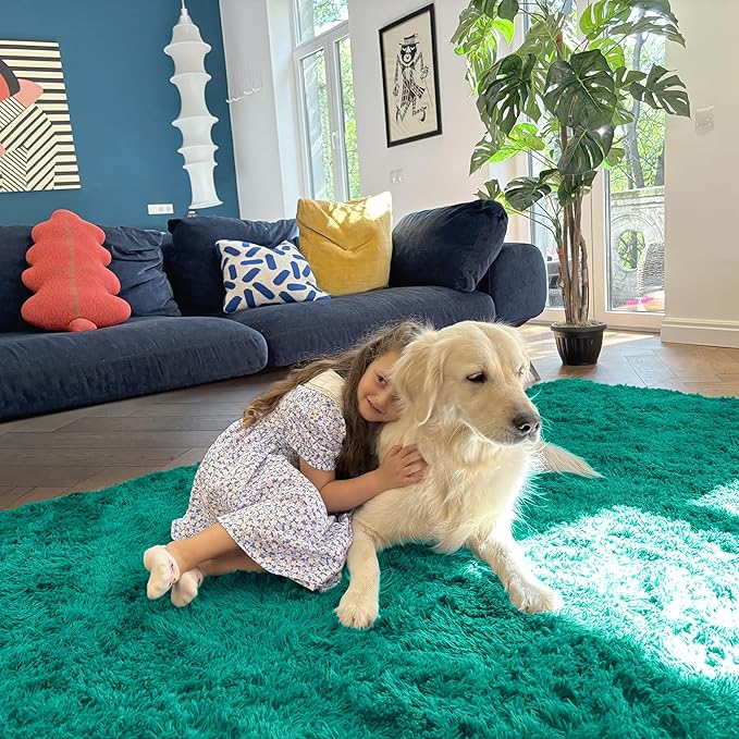 OLANLY 3x5 Machine Washable Small Bedside Rug, Soft Fluffy Shaggy Rugs for Living Room, Bedroom, Indoor Floor Carpet for Kids Girls and Boys, Preppy Dorms, Nursery, Home Decor Aesthetic, Teal Green