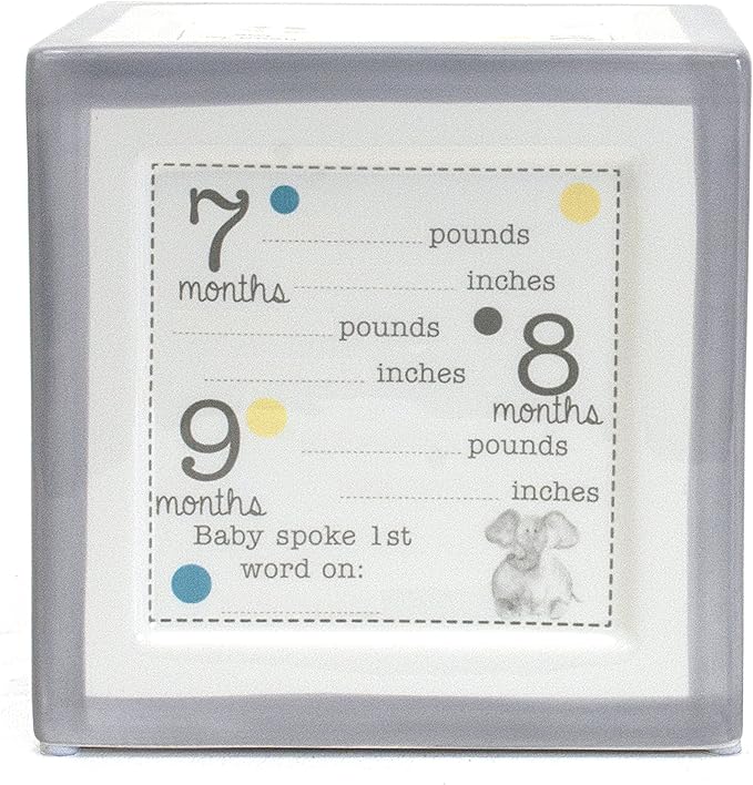 Child to Cherish New Baby Keepsake Piggy Bank, A Block to Grow On, Grey