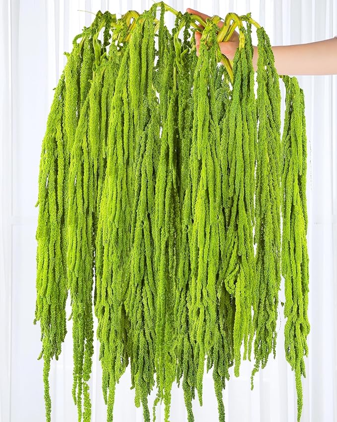 15Pcs Neon Green Preserved Hanging Amaranthus Flowers - 23" Cascading Dried Flower Tassels for Wedding Arch, Backdrop Installations, Vase Arrangements & Home Decor