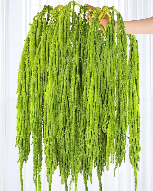 15Pcs Neon Green Preserved Hanging Amaranthus Flowers - 23" Cascading Dried Flower Tassels for Wedding Arch, Backdrop Installations, Vase Arrangements & Home Decor