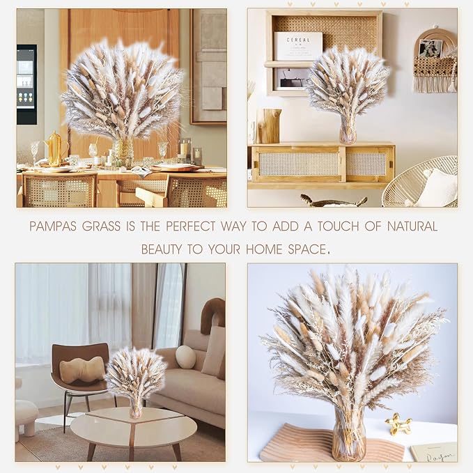 220PCS Natural Dried Pampas Grass Boho Home Decor Bouquet Phragmites Dried Flowers Bouquet for Wedding Floral Arrangements Home Decorations (220PCS)