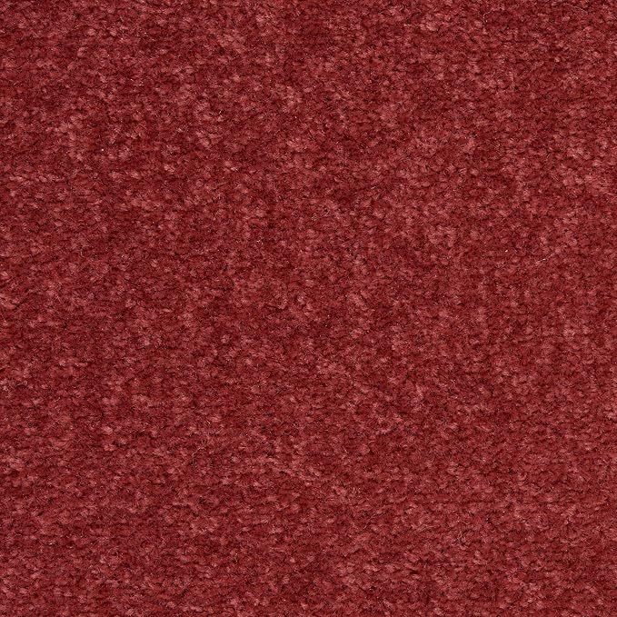Nourison Home Nourison Essentials Brick Red 4' x Round Area Rug - Easy Clean, Non Shedding, Bed Room, Living Room, Dining Room, Kitchen (4' x Round)