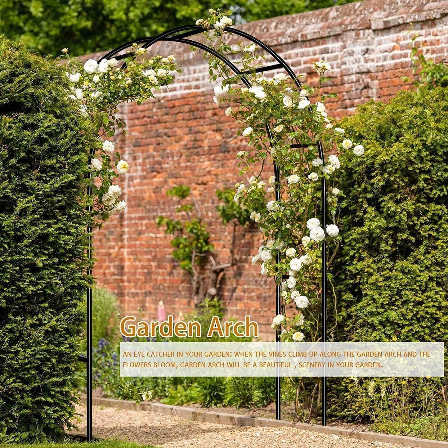 Garden Arch Trellis for Climbing Plants Outdoor Wedding Arches for Ceremony Black Metal Garden Arbor Indoor Garden Arches for Party Decoration 7.9ft Wide X 6.4ft High (Black Garden Arch)