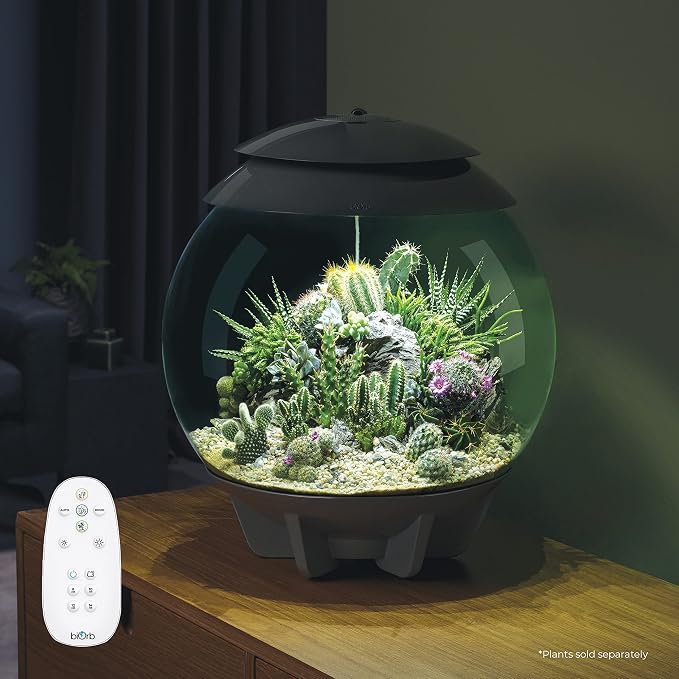 biOrb AIR 30, Fully Automated Terrarium for Arid, Temperate, or Tropical Plants, Gray