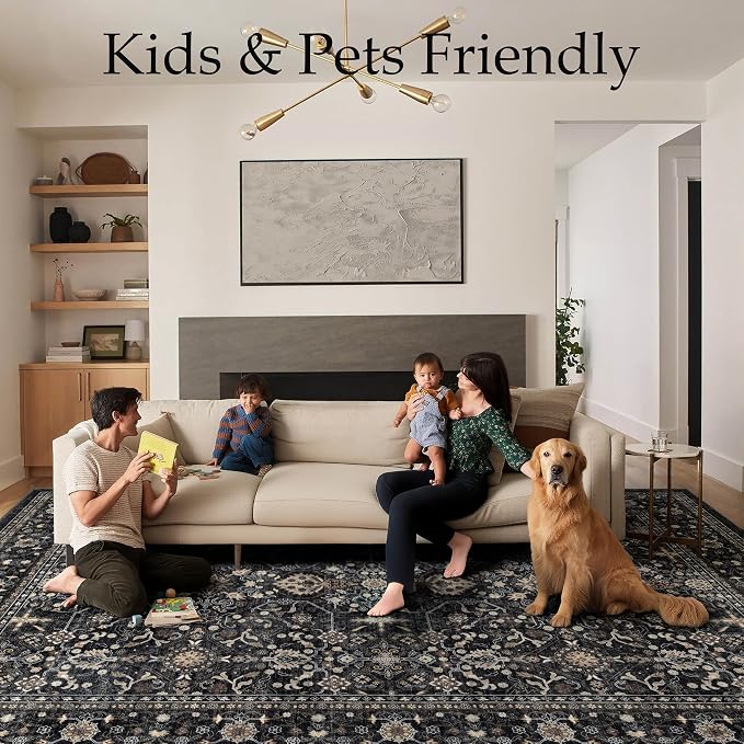 Ruaruarug Washable Area Rug 9x12 for Living Room, Bedroom, Ultra Soft Non Slip Stain & Fade Resistant, Pet & Kids Friendly, Suitable for High Traffic Areas Easy to Clean for Office Kitchen, Black Grey