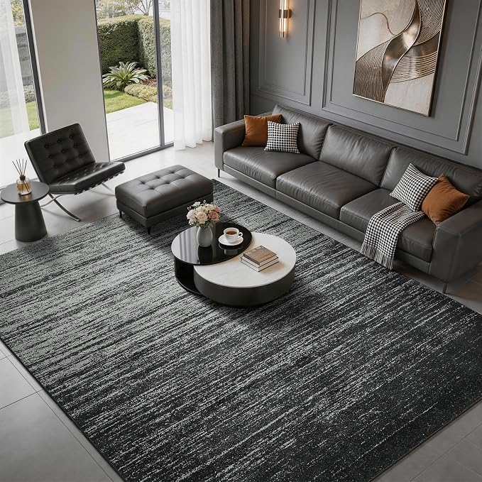 LIANLAM 5x7 Silver Infused Self-Cleaning Rug for Living Room (5x7,Black) | NASA-inspired silver infused fabric washable rug,long-lasting surface freshness, low-pile minimalist versatile home decor