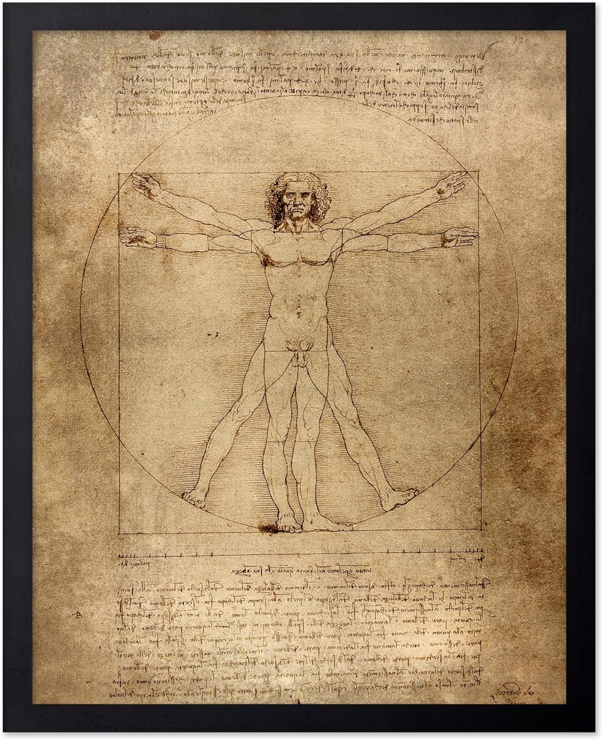 Poster Master Classic Leonardo Da Vinci Poster - Vintage Renaissance Print - Gift for Artist, Friend - Vitruvian Man, Proportion, Symmetry, Human Body - Wall Decor for Office, 8x10 Black Framed