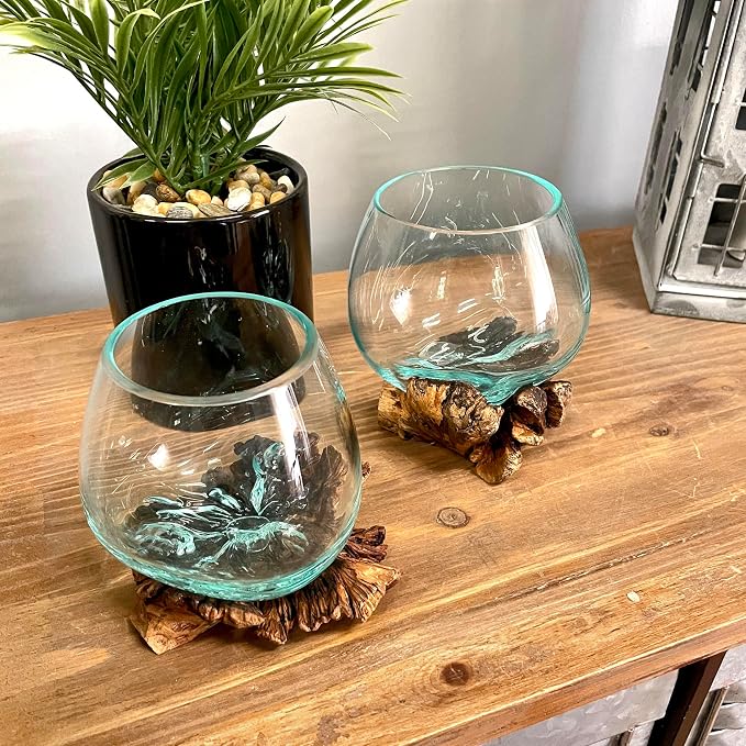 Decorative Vase, 5 Inch Melted Glass on Gamal Root Wood | Clear Bowl Shaped Over Organic Base, Each Piece Varies, For Succulents, Air Plants, Terrariums