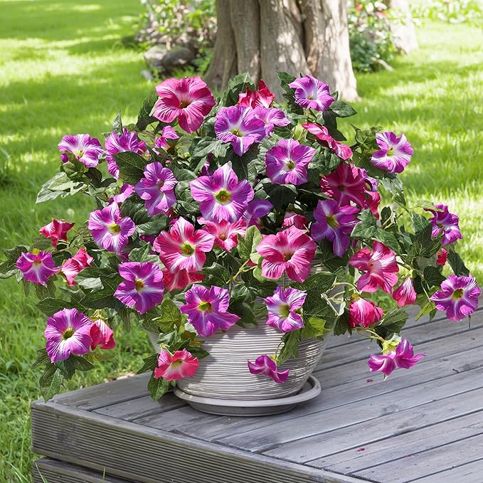 HyeFlora Artificial Flowers for Outdoors 2PCS Faux Petunias Silk Fake Flowers for Outside Planter UV Resistant Realistic Home Garden Porch Decor (Fuchsia)