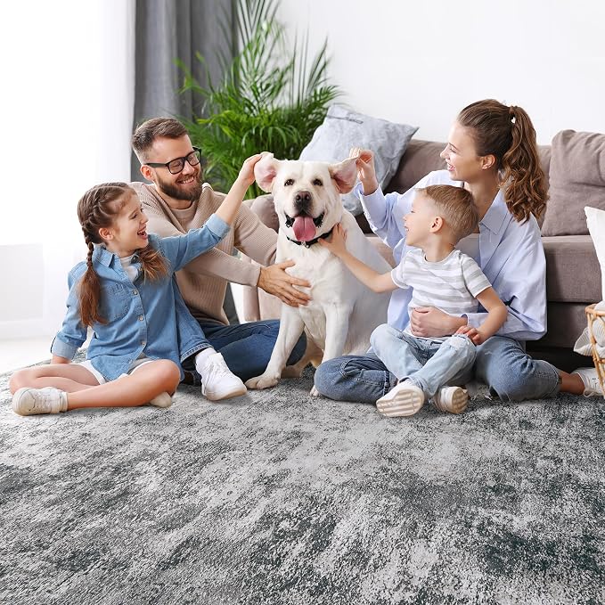 9x12 Area Rugs for Living Room Rug Washable: Modern Large Rug for Dining Room Bedroom Carpet Non Slip 9 by 12 Indoor Abstract Nursery Home Office Black