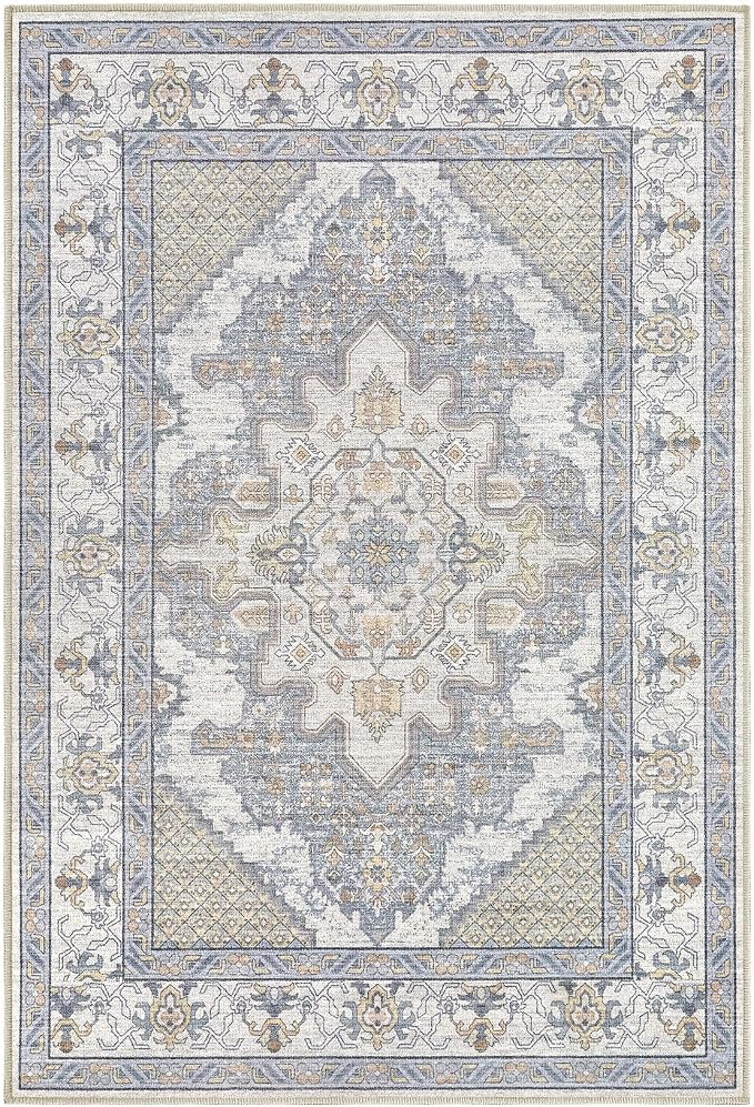 Tortania Area Rug 2x3 Doormat - Washable Vintage Oriental Farmhouse Soft Thin Indoor Carpet for Living Room Bedroom Hallway Entryway Kitchen - Blue Beige