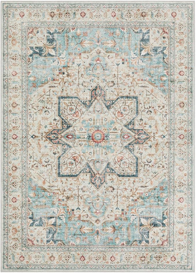 Tortania Area Rug Living Room Rugs - 9x12 Washable Boho Rug Vintage Oriental Distressed Farmhouse Large Thin Indoor Carpet for Living Room Bedroom Under Dining Table Home Office - Aqua Multi